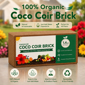 Stop Killing Your Plants With Bad Soil.