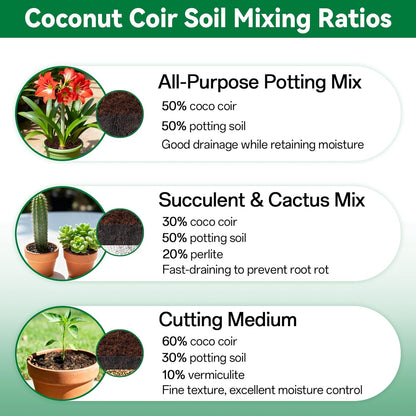 🌱 Fix Your Soil. Watch Your Plants Thrive.