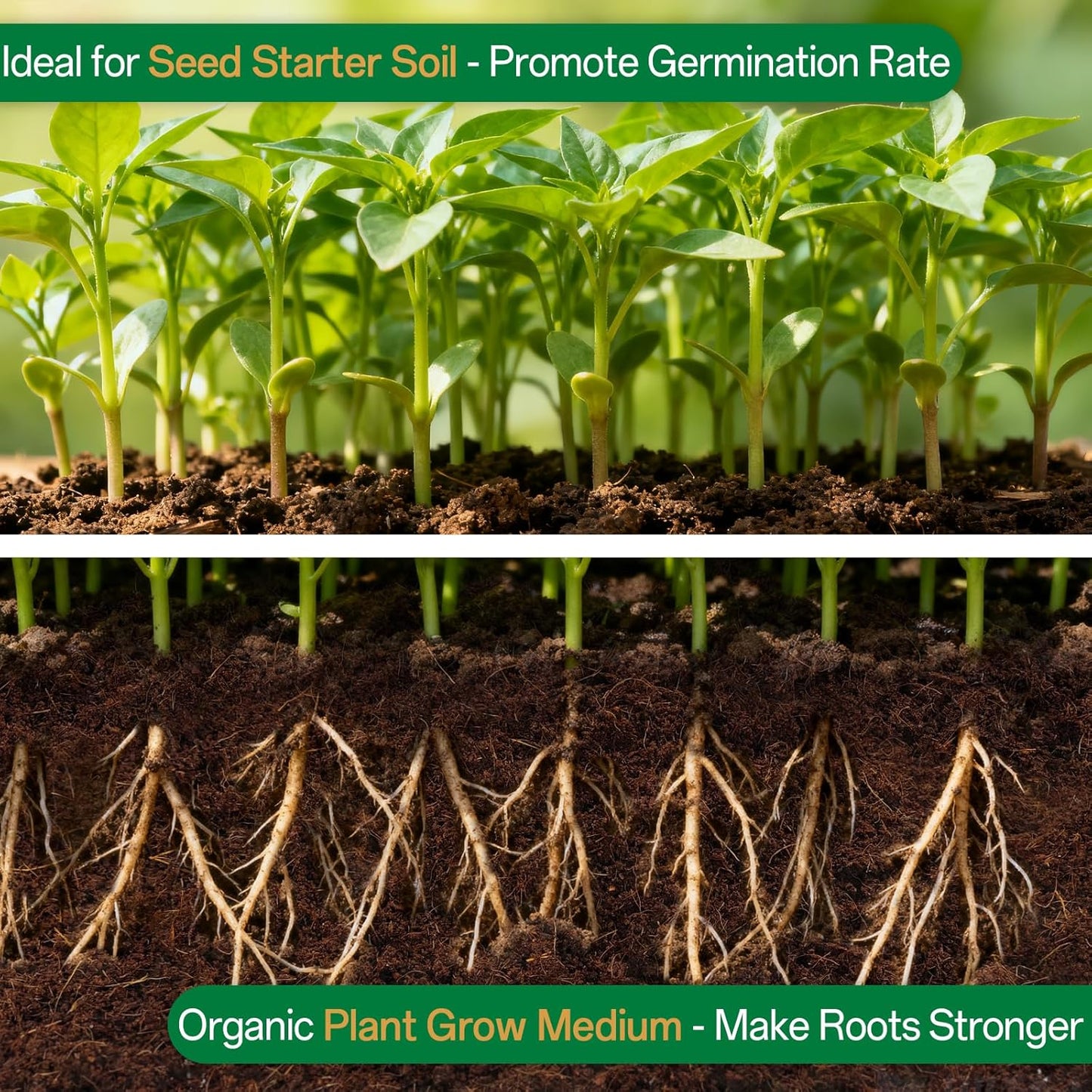 🌱 Fix Your Soil. Watch Your Plants Thrive.