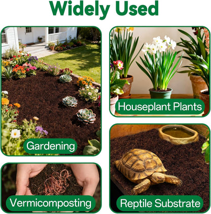 🌱 Fix Your Soil. Watch Your Plants Thrive.