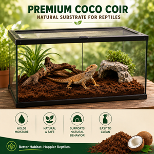 Stop Killing Your Plants With Bad Soil.