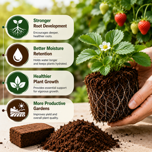 Stop Killing Your Plants With Bad Soil.