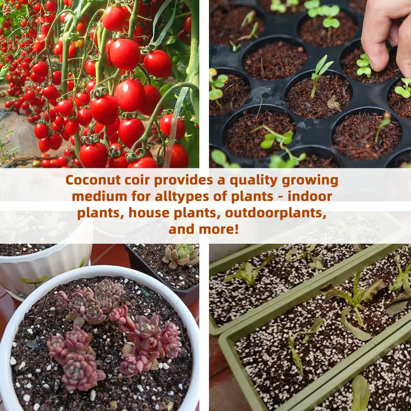 🌱 Fix Your Soil. Watch Your Plants Thrive.