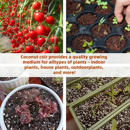 🌱 Fix Your Soil. Watch Your Plants Thrive.