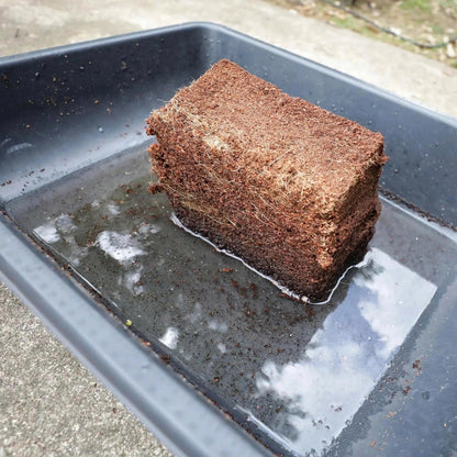 🌱 Fix Your Soil. Watch Your Plants Thrive.