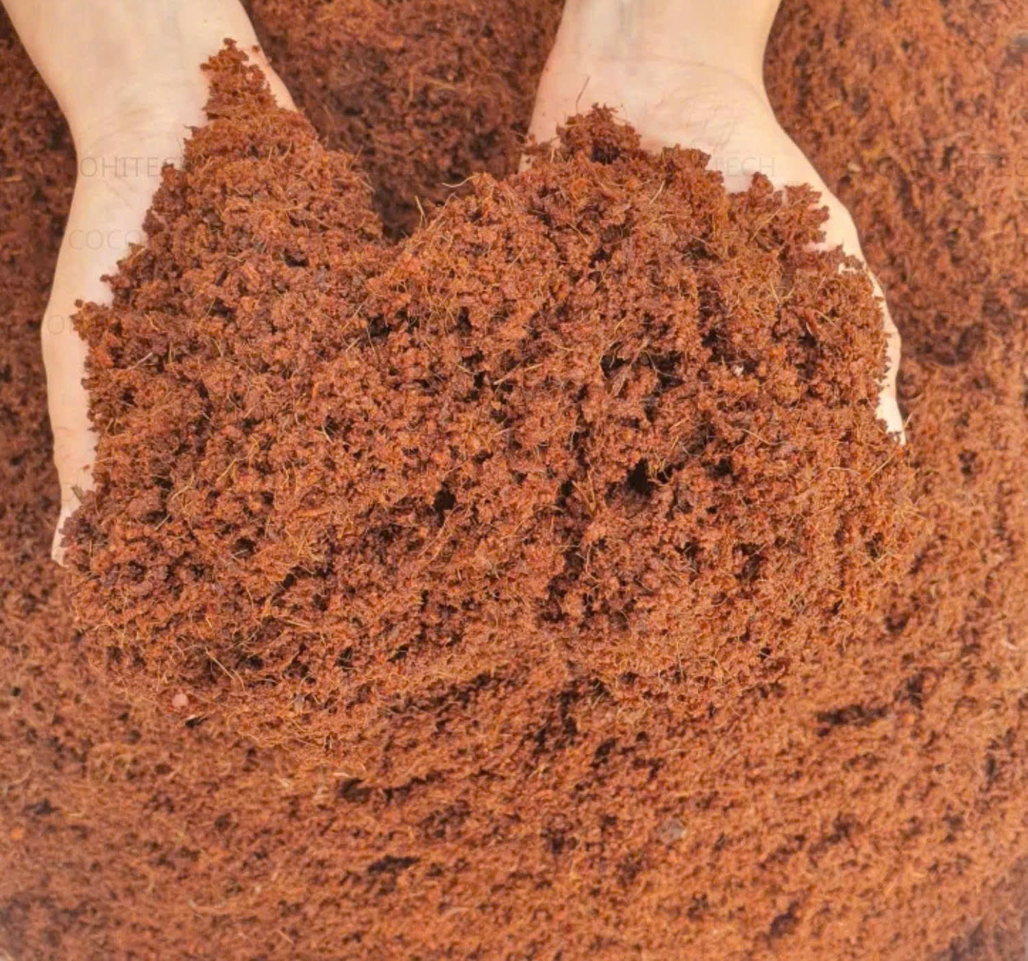 Hands holding premium coconut coir texture