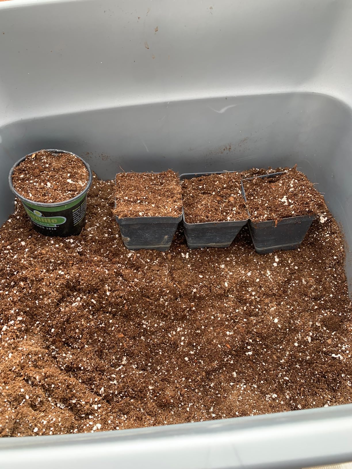 Expanded coco coir ready for planting