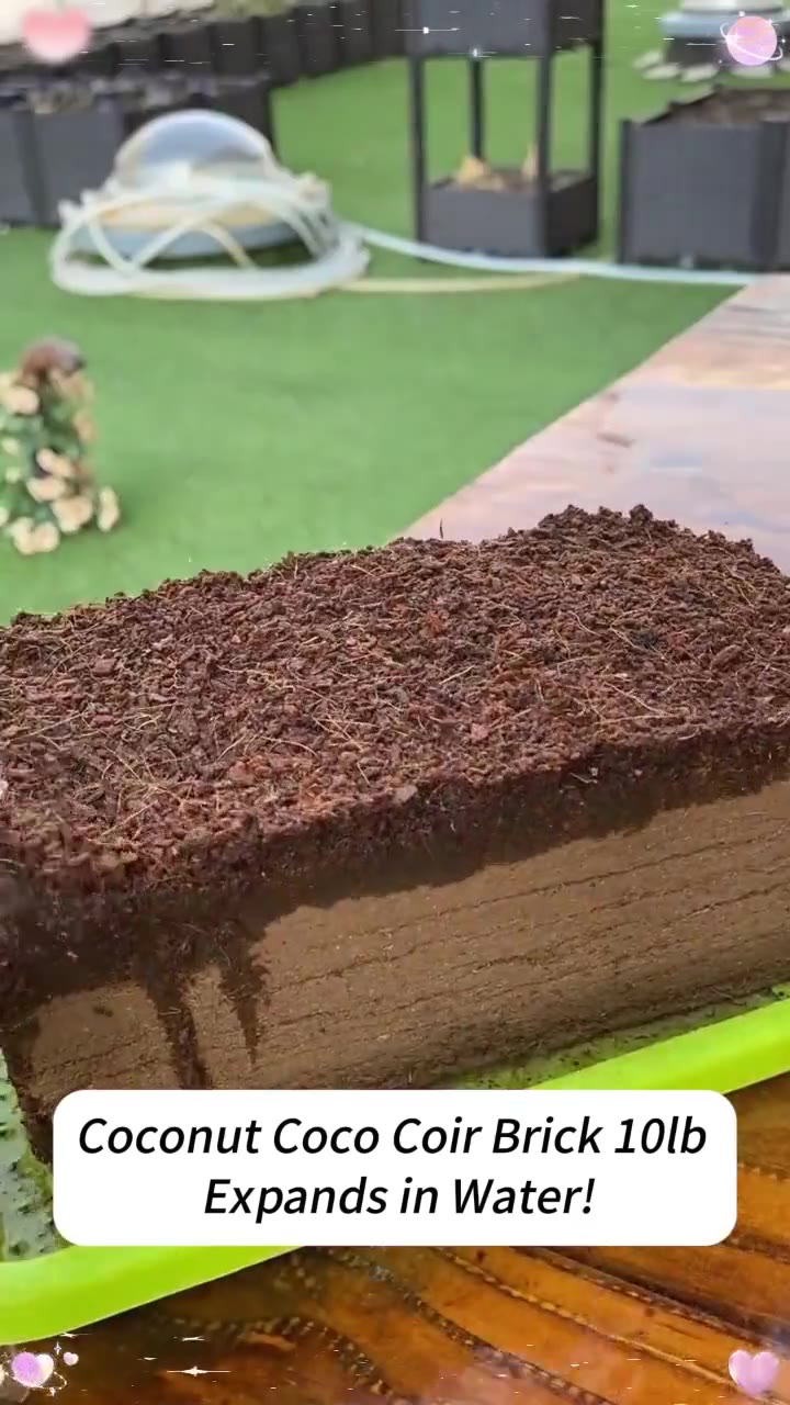 Watch coco coir expand